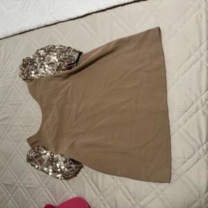 Brown Top with Sequin Sleeves